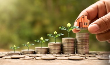 Investment Basics Explained With Types to Invest