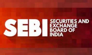 What are the SEBI Guidelines for an IPO