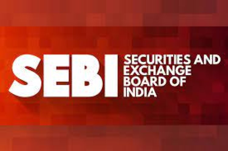 What are the SEBI Guidelines for an IPO