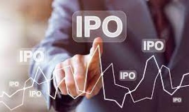How to Find The Right IPO to Invest In