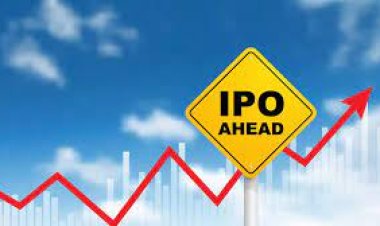 World’s biggest market for sub-$100 million IPOs booms in India