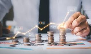 Top mutual funds: These 10 small-cap funds delivered the best return in one year