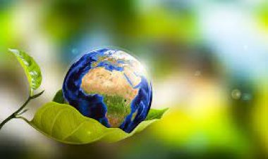 Investing in our future: The need to get climate finance right for India