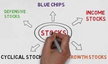 How many types of stocks in share market