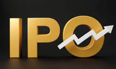 Vishnu Prakash R Punglia raises Rs 91.77 crore from anchor investors ahead of IPO